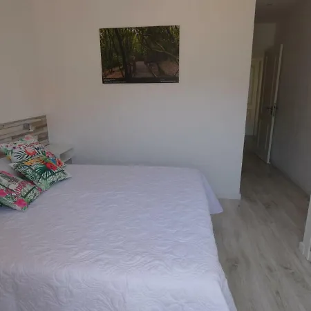 La Laguna, Museo Y Parking * La Laguna (Tenerife)