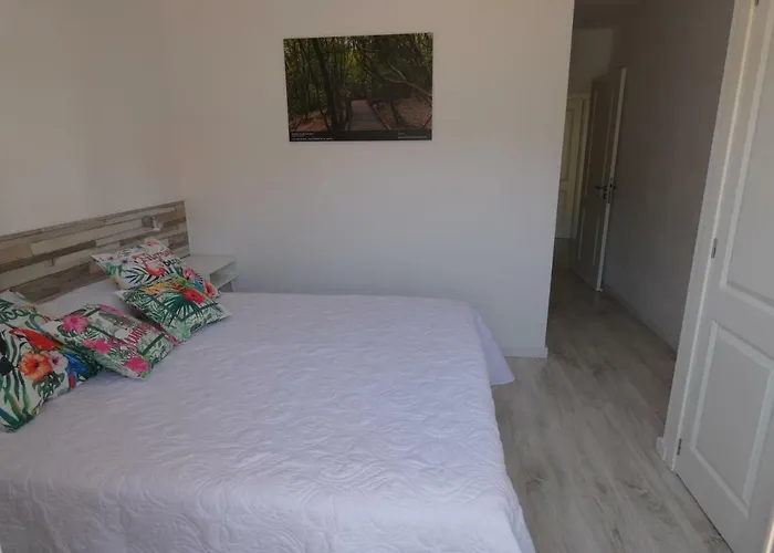 La Laguna, Museo Y Parking * La Laguna (Tenerife)